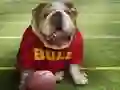 Jogo Cão Engraçado online