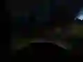 Jogo Dirigindo pelo Terror na Selva online Jogo Dirigindo pelo Terror na Selva online