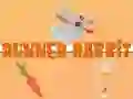 Jogo Coelho Corredor online