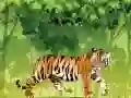 Jogo Colorir Tigre Bravo online Jogo Colorir Tigre Bravo online