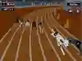 Jogo Febre de Corrida de Cães Loucos online Jogo Febre de Corrida de Cães Loucos online