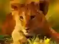 Jogo Quebra-Cabeça de Animais Bebés Selvagens online Jogo Quebra-Cabeça de Animais Bebés Selvagens online