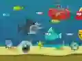 Jogo Tubarão Louco online