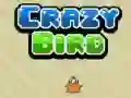 Jogo Pássaro Louco online Jogo Pássaro Louco online