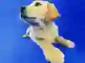 Jogo Quebra-Cabeça de Gatos e Cães Engraçados online