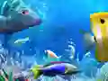Jogo Vamos Pescar online Jogo Vamos Pescar online