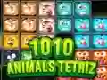 Jogo 1010 Animais Tetriz online