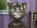 Jogo Talking Tom: Hora Divertida online