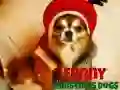 Jogo Cães de Natal Engraçados online