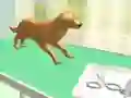 Jogo Cuidado das Patas online