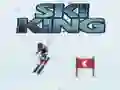 Jogo Rei do Esqui online Jogo Rei do Esqui online
