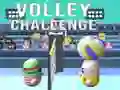 Jogo Desafio de Voleibol online