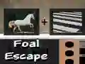 Jogo Fuga do Potro online Jogo Fuga do Potro online