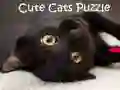 Jogo Quebra-Cabeça de Gatos Fofos online Jogo Quebra-Cabeça de Gatos Fofos online