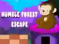 Jogo Escape da Floresta Humilde online Jogo Escape da Floresta Humilde online