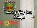 Jogo Escape do Adorável Menininho online Jogo Escape do Adorável Menininho online