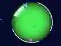 Jogo Corrida de Monstros online Jogo Corrida de Monstros online