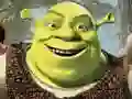 Jogo Coleção de Quebra-Cabeças do Shrek online Jogo Coleção de Quebra-Cabeças do Shrek online