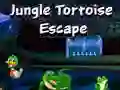 Jogo Fuga da Tartaruga da Selva online Jogo Fuga da Tartaruga da Selva online