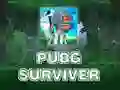Jogo PUBG Sobrevivente online Jogo PUBG Sobrevivente online