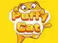 Jogo Gato Fofo online Jogo Gato Fofo online