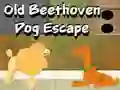 Jogo Fuga do velho cão Beethoven online Jogo Fuga do velho cão Beethoven online