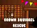 Jogo Resgate do Esquilo Marrom online Jogo Resgate do Esquilo Marrom online