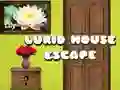 Jogo Escape da Casa Lúgubre online