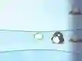Jogo Bonecos de Neve vs Pinguim online Jogo Bonecos de Neve vs Pinguim online