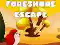 Jogo Escape da Praia online