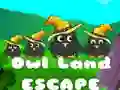 Jogo Escape da Terra das Corujas online