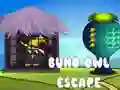 Jogo Escape do Buho online Jogo Escape do Buho online