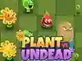 Jogo Plantas vs Mortos-vivos online Jogo Plantas vs Mortos-vivos online