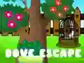 Jogo Fuga da Pomba online Jogo Fuga da Pomba online