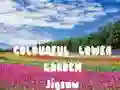 Jogo Quebra-Cabeça do Jardim de Flores Coloridas online Jogo Quebra-Cabeça do Jardim de Flores Coloridas online