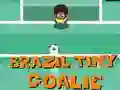 Jogo Brasil Pequeno Goleiro online
