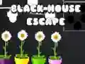Jogo Escape da Casa Preta online Jogo Escape da Casa Preta online
