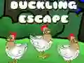 Jogo Fuga do patinho online Jogo Fuga do patinho online