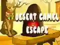 Jogo Escape do Camelo do Deserto online Jogo Escape do Camelo do Deserto online