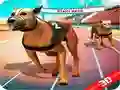 Jogo Corrida de Cães Loucos online Jogo Corrida de Cães Loucos online