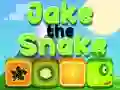 Jogo Jake a Cobra online
