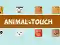 Jogo Animal Toush online