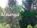 Jogo Retorno à Floresta de Alsunga online Jogo Retorno à Floresta de Alsunga online