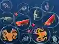 Jogo Mesclar Peixes do Oceano online