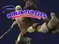 Jogo Jogo da Memória das Tartarugas Ninja online