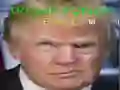 Jogo Trump Cara Engraçada online Jogo Trump Cara Engraçada online