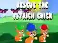 Jogo Resgatar o filhote de avestruz online Jogo Resgatar o filhote de avestruz online