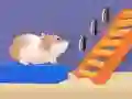 Jogo Labirinto de Hamsters online Jogo Labirinto de Hamsters online