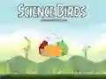 Jogo Pássaros Científicos online Jogo Pássaros Científicos online