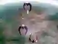 Jogo Scape Shotter online Jogo Scape Shotter online